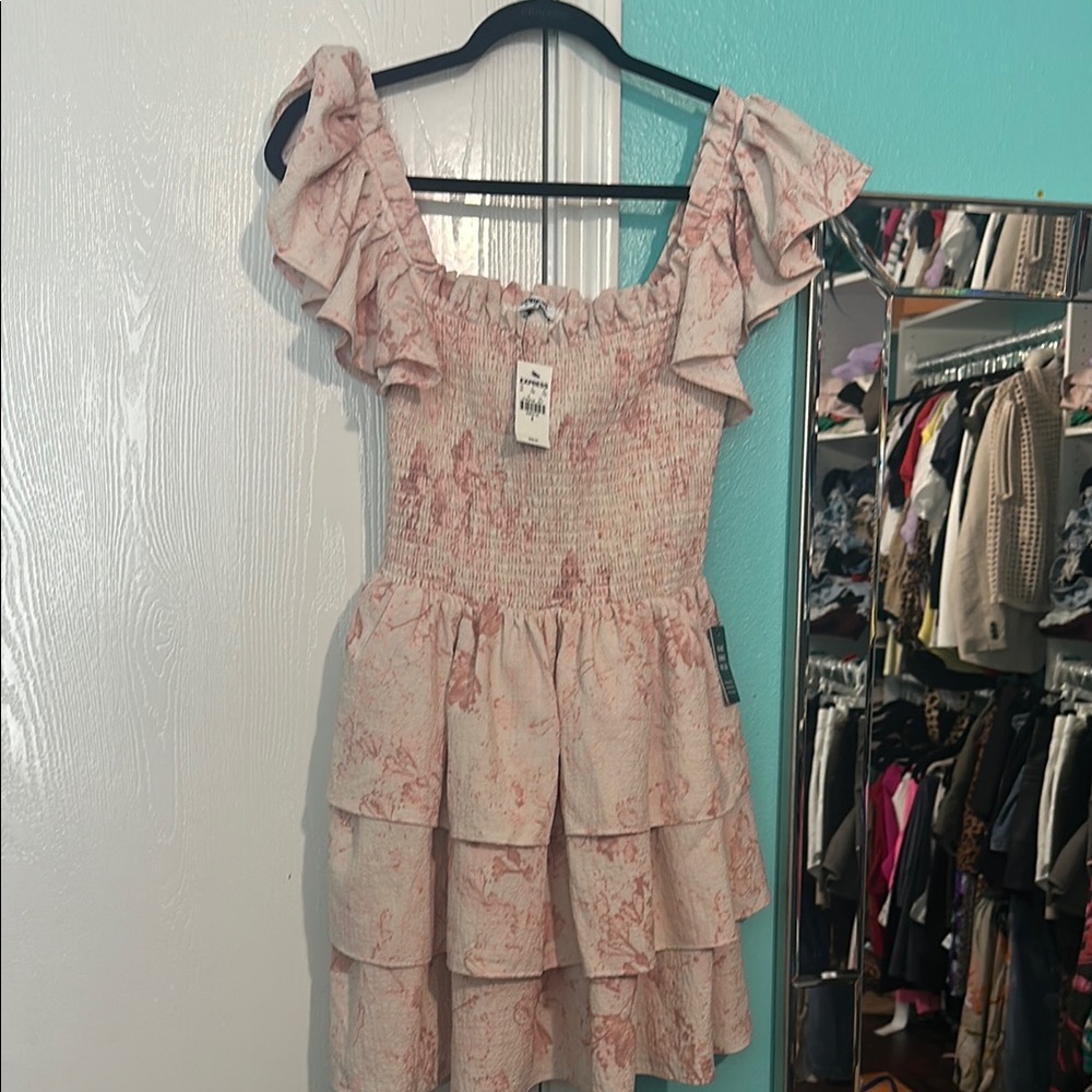 Express Pink Ruffle Dress